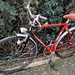 28 Zoll Herrenrad, Singlespeed,RH 56 cm - Bild 1