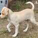 Kleine Anna sucht eine Familie  - Bild 4