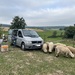 Camper Van - Mercedes Vito Westfalia  - Bild 1