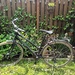 Trapezfahrrad schwarz matt - Bild 1