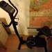 Hometrainer, sehr guter Zustand, zur Abholung Horn - Bild 1