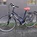 28 Zoll Damen- Cityrad kleiner Rahmen Steppenwolf - Bild 1