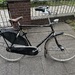 2xGazelle VB - Bild 2