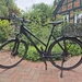 Damen Trekking Bike Greens Blackness - Bild 1