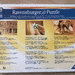 Ravensburger Puzzle 151035 - Ooh Lala - Eifelturm - Bild 2