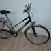 Alu Damenfahrrad 28 Zoll Hercules Nepal - Bild 3