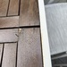 Garten Tisch  - Bild 4