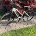 Rose eBike Xtra Watt Evo 2 - Bild 1