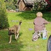 Mischlingsh?ndin Welpe  Mali - Bild 3