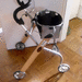 WOHNRAUMROLLATOR 50 Euro - Bild 1