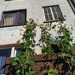 Haus WG sucht neue Mitbewohnis - Bild 1