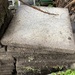 9 Waschbetonplatten 50x50 cm zu verschenken - Bild 1