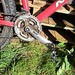 Mountainbike rot 28zoll 130 euro - Bild 4