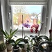 3 Zimmer Wohnung in Delmenhorst  - Bild 9