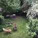 Zwischenmiete Juli Haus Garten Viertel Barkhof - Bild 7