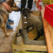 Hausgemeinschaft sucht Mitgestalter - Bild 2
