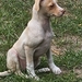 Kleine Anna sucht eine Familie  - Bild 1