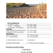 Ferienwohnungen Ostsee Heiligenhafen  - Bild 10