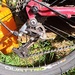 Mountainbike rot 28zoll 130 euro - Bild 5
