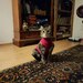 Katze vermisst in der Neustadt - Bild 6