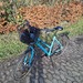 28er Damen Fahrrad  - Bild 2
