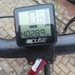 Pedelac (e-Bike) Raleigh Dover 8R HS - Bild 3