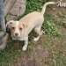 Kleine Anna sucht eine Familie  - Bild 3