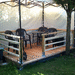 Campingplatz - Bild 5