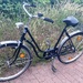 Holland Fahrrad 26 Zoll 3 Gänge mit Korb - Bild 1