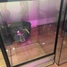 Glasterrarium 50x50x80 Neu, für zb Geckos - Bild 1