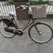 2xGazelle VB - Bild 1