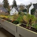 Huchting - 3 Zi.- Whg. - 2.OG - Balkon - frei ! - Bild 2