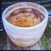 Terrakottatopf - Bild 1