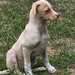 Kleinbleibende Princess sucht ihre Familie - Bild 7