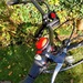- Böttcher E-Friends, 46er Rahmen - Bild 5