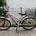 Pegasus Kinderfahrrad 24