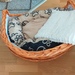 Hundebett - Bild 1