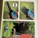 Gardena - Bild 2