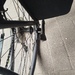 Biete hochwertiges Herrenrad an - Bild 8