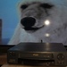 Videorecorder Samsung mit FB,top Zustand - Bild 6