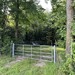 5.231qm Freizeitgrundstück in Dötlingen - Bild 5