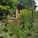 Erfahrene Gartenhilfe Grambke gesucht - Bild 10
