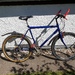 Mountainbike - Bild 1