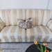 Möbel suchen neues Zuhause - Bild 1