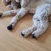Wer sammelt echt Steiff - Bild 1