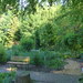 Erfahrene Gartenhilfe Grambke gesucht - Bild 7