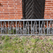 Fressgitter von Royal de Boer - Bild 1