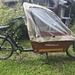 Bakfiets Fahrraf(keine Eletrofahrrad - Bild 1