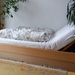 Bett abzugeben  - Bild 1
