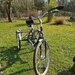Dreirad für Erwachsene - Bild 3